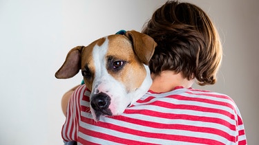 Hund auf Arm | Bild: mauritius images / Oleksiy Boyko / Alamy / Alamy Stock Photos