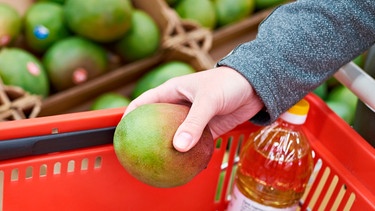Hand legt eine Mango in einen Einkaufskorb | Bild: mauritius images / Sergey Ryzhov / Alamy / Alamy Stock Photos