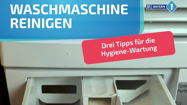 Tipps, wie man ganz einfach die Waschmaschine reinigt.  | Bild: BR